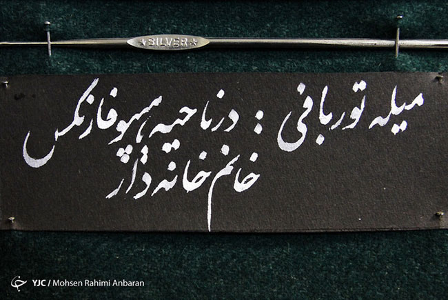 اجسام خارج شده از بدن بیماران در مراکز درمانی - مشهد اجسام خارج شده از بدن بیماران در مراکز درمانی - مشهد