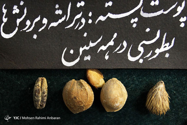 اجسام خارج شده از بدن بیماران در مراکز درمانی - مشهد اجسام خارج شده از بدن بیماران در مراکز درمانی - مشهد