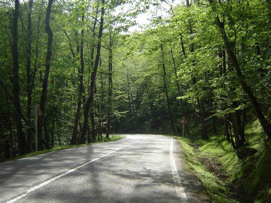 دالان بهشت ایران اینجاست ؛ بکر، رویایی و عاشقانه دالان بهشت ایران اینجاست ؛ بکر، رویایی و عاشقانه