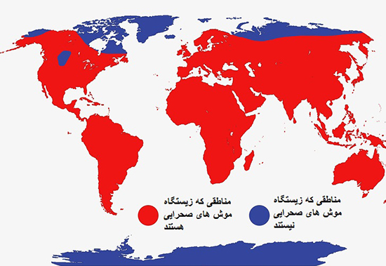 چند نقشه جالب که روی دیگری از دنیا را نشانتان می دهد