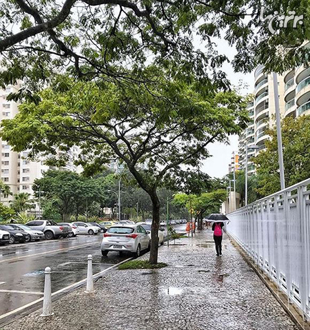 دانستنی های جالبی درباره برزیل که شگفت دزه می کند شما را