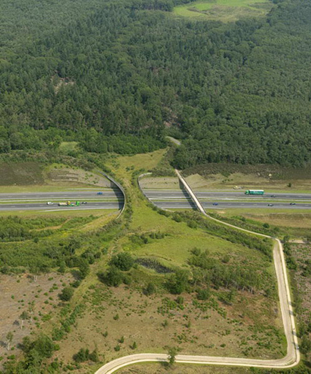 چهار ساختمان و معماری شگفت‌انگیز