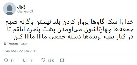 شوخی‌های جالب شبکه‌های اجتماعی؛ کیو کیو.. تق تق!
