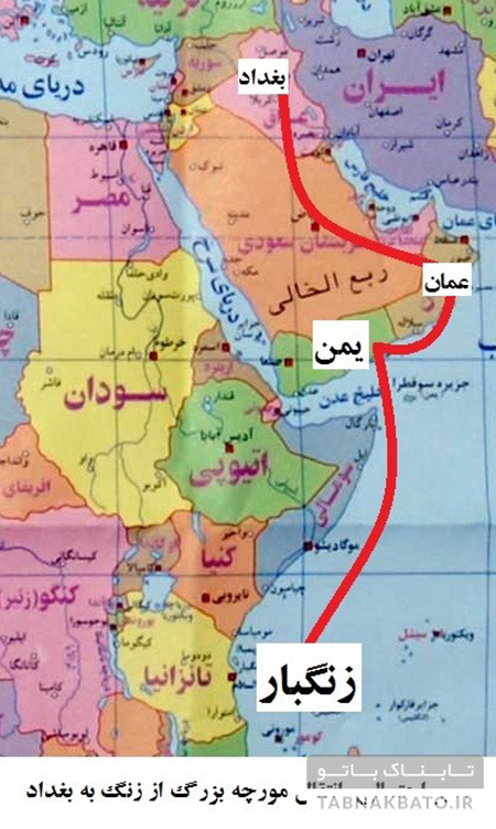 این سه جانورِ ناشناخته را شناسایی کنید؟ این سه جانورِ ناشناخته را شناسایی کنید؟