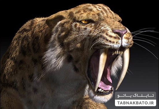 این سه جانورِ ناشناخته را شناسایی کنید؟ این سه جانورِ ناشناخته را شناسایی کنید؟