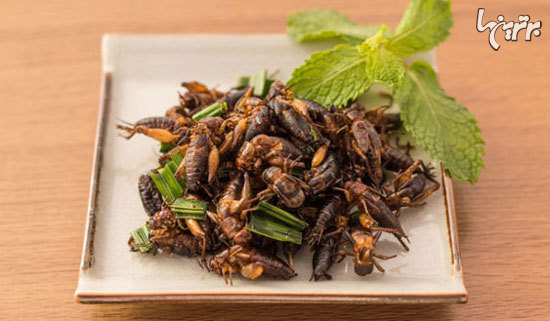 در آینده چه غذاهایی خواهیم خورد؟ در آینده چه غذاهایی خواهیم خورد؟