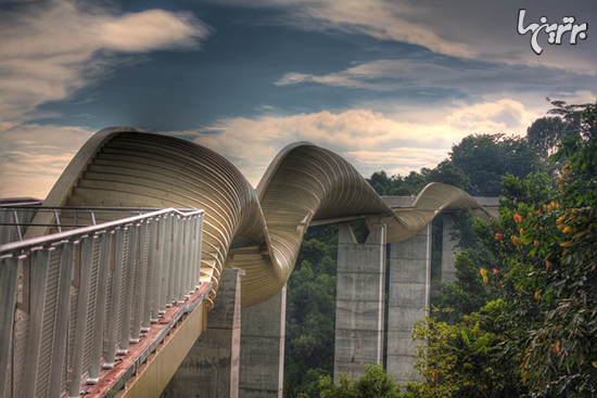 عجیب ترین پل های دنیا