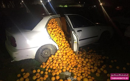 عجیب‌ترین روش‌های قاچاق و جا به جایی مواد ممنوعه