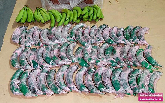 عجیب‌ترین روش‌های قاچاق و جا به جایی مواد ممنوعه