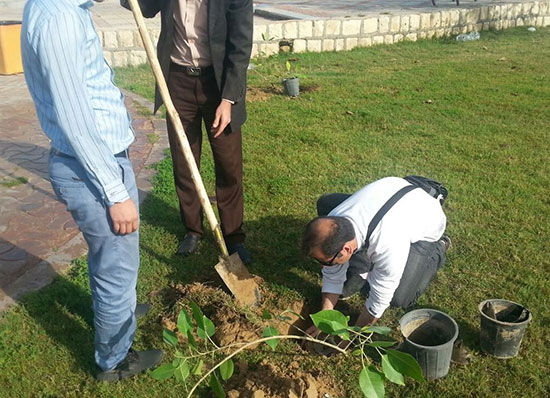 روز درختکاری؛ چه بکاریم؟ چگونه بکاریم؟ روز درختکاری؛ چه بکاریم؟ چگونه بکاریم؟