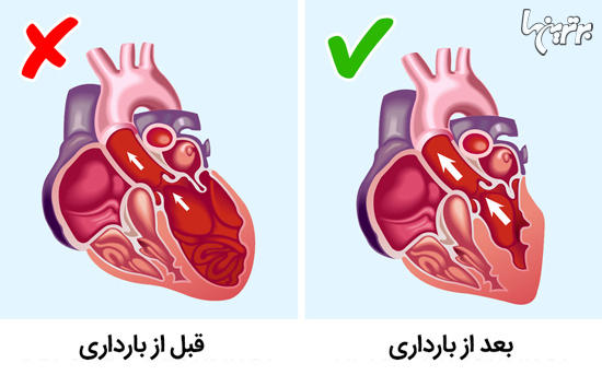 دانستنی هایی که ارزش دارد با کل دنیا به اشتراک بگذارید