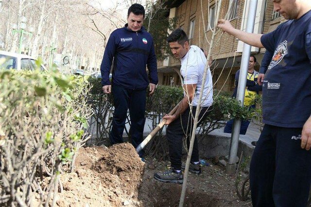 درختکاری کشتی گیران