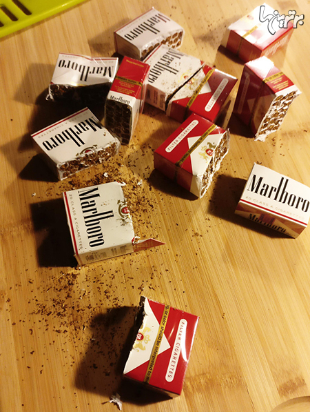 افرادی که شهامت این را داشتند که زندگیشان را تغییر دهند افرادی که شهامت این را داشتند که زندگیشان را تغییر دهند