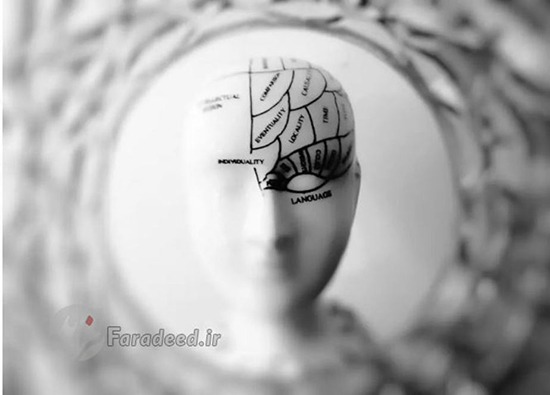 ۴۸ حقیقت جالب از بدن که نمی‌دانید