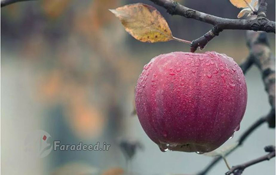 ۴۸ حقیقت جالب از بدن که نمی‌دانید