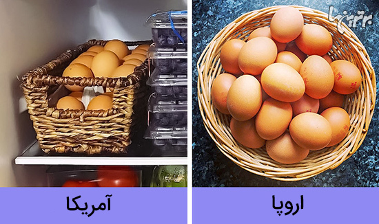 افسانه‌هایی درباره تخم مرغ که در قرن ۲۱ باید فراموش کنید