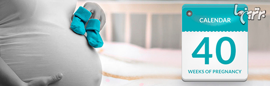 دانستنی های جالب و شگف آور درباره بارداری