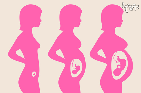 دانستنی های جالب و شگف آور درباره بارداری