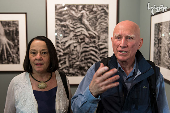 زن و شوهری که در عرض ۲۰ سال جنگل مرده را احیا کردند