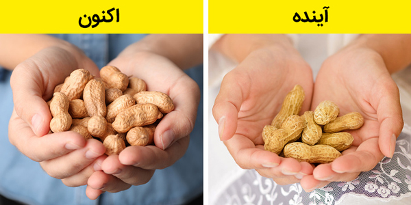 خوراکی‌های خوشمزه‌ای که در آینده نزدیک دیگر وجود نخواهند داشت