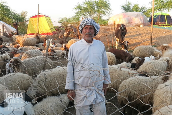 ویدئو / وضعیت دامها در مناطق سیلزده خوزستان وضعیت دامها در مناطق سیلزده خوزستان