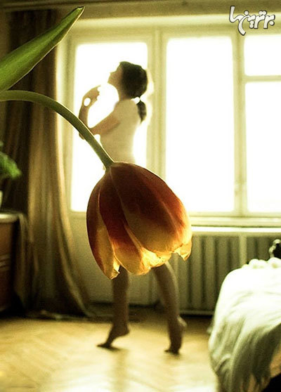 افرادی که تصاویری بهتر از هر عکاس حرفه‌ای گرفته اند