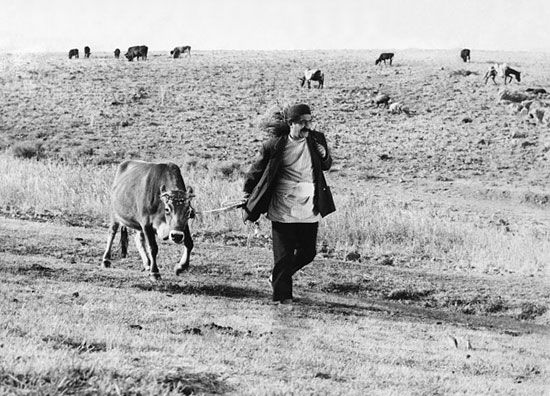 ۱۵ فیلم عالی تاریخ سینمای ایران