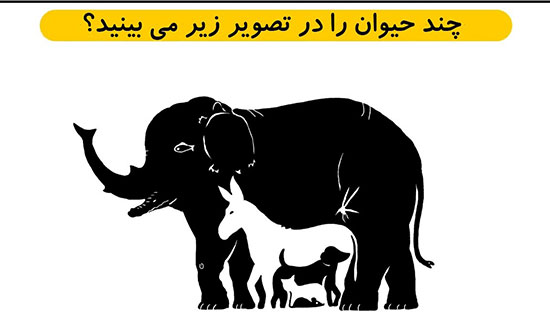 معما‌هایی که شخصیت واقعی شما را نشان می‌دهند