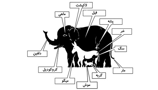 معما‌هایی که شخصیت واقعی شما را نشان می‌دهند