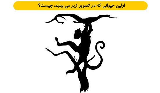 معما‌هایی که شخصیت واقعی شما را نشان می‌دهند