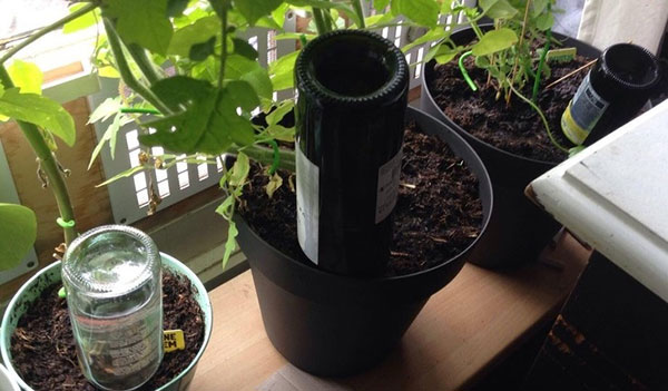 افرادی که اثبات کردند نبوغ در سادگی است!