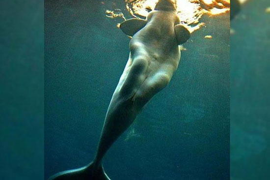 عکس هایی از طبیعت که حتما باید ببینید