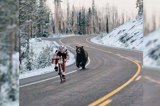 عکس هایی از طبیعت که حتما باید ببینید