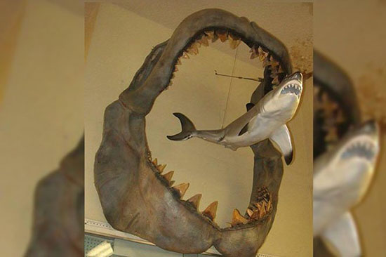 عکس هایی از طبیعت که حتما باید ببینید