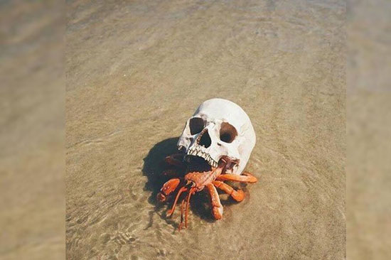 عکس هایی از طبیعت که حتما باید ببینید