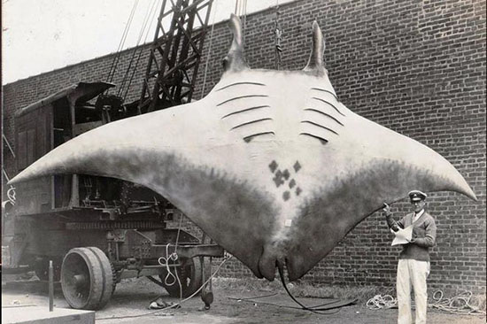 عکس هایی از طبیعت که حتما باید ببینید