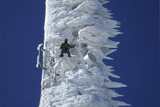 عکس هایی از طبیعت که حتما باید ببینید