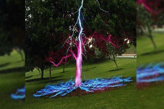 عکس هایی از طبیعت که حتما باید ببینید