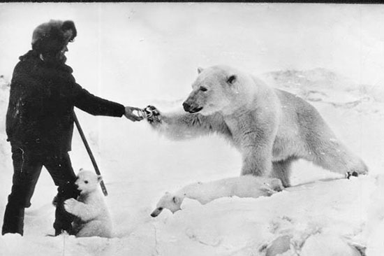 عکس هایی از طبیعت که حتما باید ببینید