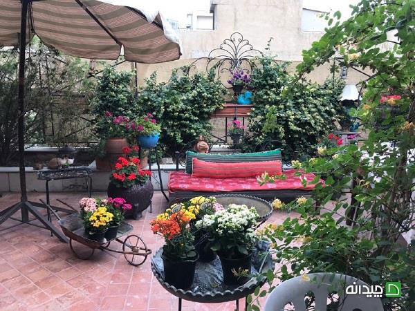 گیاهان فضای باز در باغچه خانگی و با صفای ماندانا