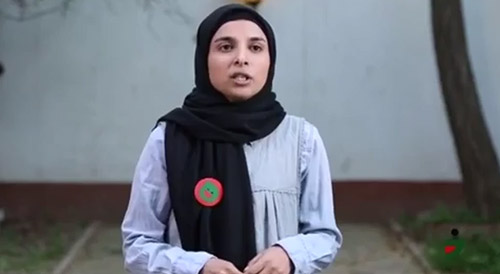 امپراطور کوزکو وارد می شود... امپراطور کوزکو وارد می شود...