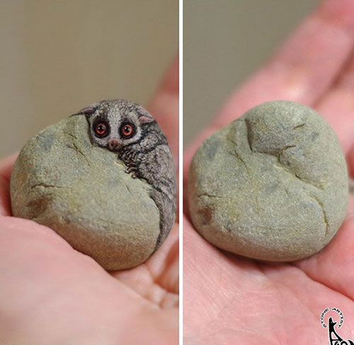 حیواناتی شگف آور که از رنگ آمیزی سنگ ها ایجاد شده اند. حیواناتی شگف آور که از رنگ آمیزی سنگ ها ایجاد شده اند.