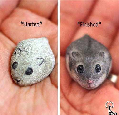 حیواناتی شگف آور که از رنگ آمیزی سنگ ها ایجاد شده اند. حیواناتی شگف آور که از رنگ آمیزی سنگ ها ایجاد شده اند.