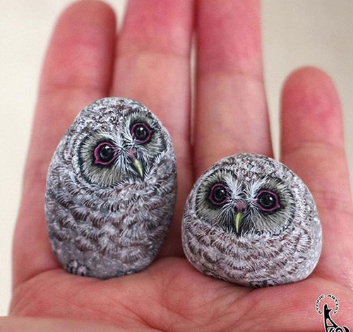 حیواناتی شگف آور که از رنگ آمیزی سنگ ها ایجاد شده اند. حیواناتی شگف آور که از رنگ آمیزی سنگ ها ایجاد شده اند.