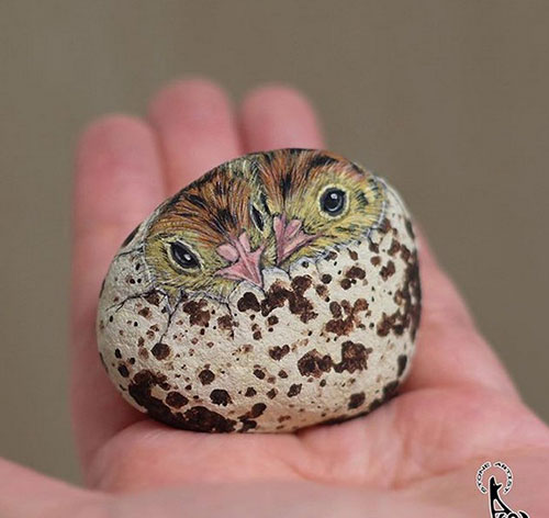 حیواناتی شگف آور که از رنگ آمیزی سنگ ها ایجاد شده اند. حیواناتی شگف آور که از رنگ آمیزی سنگ ها ایجاد شده اند.