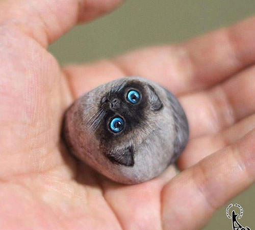 حیواناتی شگف آور که از رنگ آمیزی سنگ ها ایجاد شده اند. حیواناتی شگف آور که از رنگ آمیزی سنگ ها ایجاد شده اند.