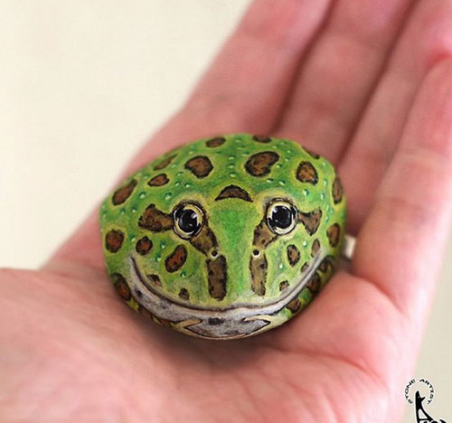 حیواناتی شگف آور که از رنگ آمیزی سنگ ها ایجاد شده اند. حیواناتی شگف آور که از رنگ آمیزی سنگ ها ایجاد شده اند.