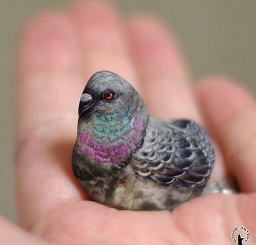 حیواناتی شگف آور که از رنگ آمیزی سنگ ها ایجاد شده اند حیواناتی شگف آور که از رنگ آمیزی سنگ ها ایجاد شده اند