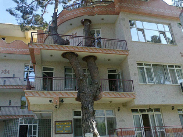 تصاویری از احترام به طبیعت در معماری