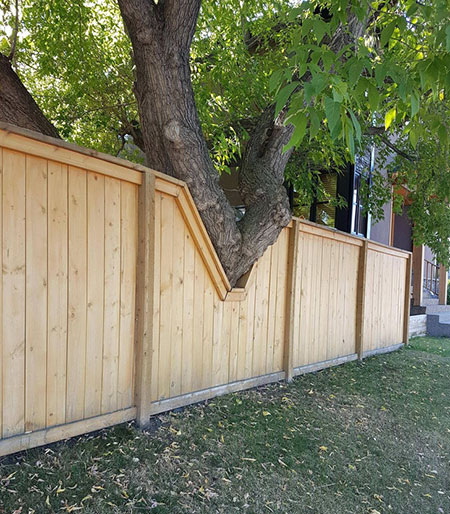 تصاویری از احترام به طبیعت در معماری